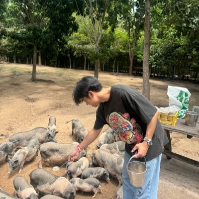 teamlann's profile picture. 