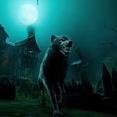 yannik_yafi59's profile picture. 