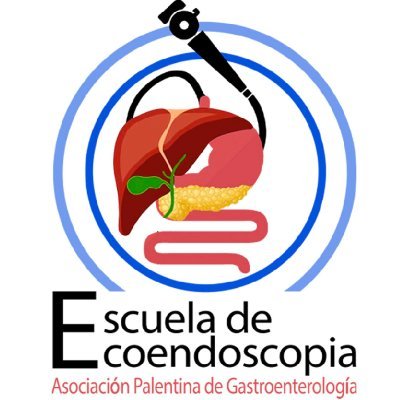 EcoendoZone's profile picture. Unidad Ecoendoscopia Complejo Asistencial Universitario de Palencia