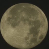 Dr.Mustafa (@drmustafayesil) 's Twitter Profile