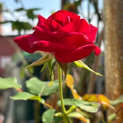 #new post#Twittephotography#Fitness Deep#Music#shortvideo#Reactionvideo video#Travelling lwith#Informative video#MotivationalTwitter#etc