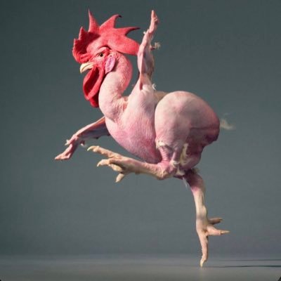 Diogenes_Chickn's profile picture. 