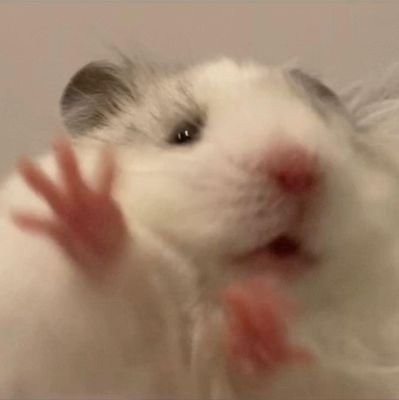 Zi Junさんのプロフィール画像