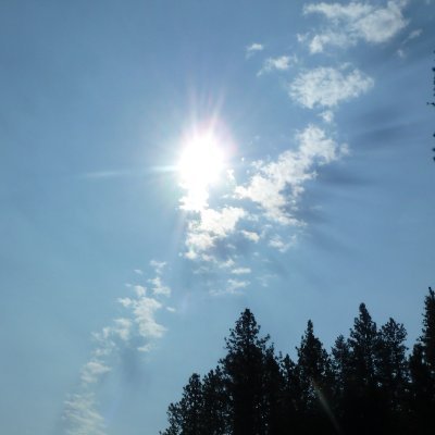 unseenwarfare1's profile picture. Citizen of Paradise