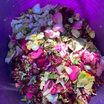 MillineryMoll's profile picture. 🎗️ #IStandWithJKRowling #SexnotGender#SaveWomensSport@ #DeliberatelyDefiant #A Gargoyle of Beelzebub 💛💔🎗️🇮🇱