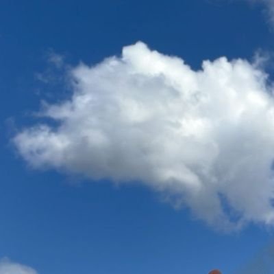 ahlam_almilaji's profile picture. 