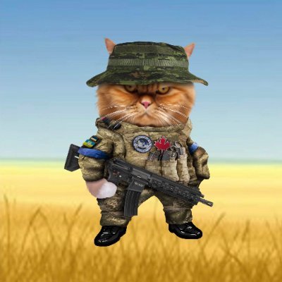 StainWash's profile picture. Karma is a cyka

#NAFOCatsDivision  😼

#ToonieTuesday
#LetUkraineStrikeBack