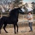 Jude (@ranchhandnc) Twitter profile photo Jude (@ranchhandnc) Twitter profile photo