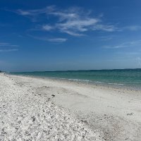 Jay (@genomes26) 's Twitter Profile Photo