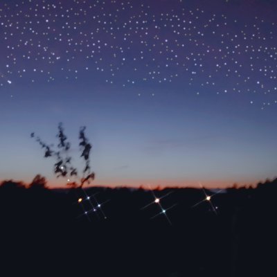 TCJ_Rock's profile picture. - Intérêts pour la musique, l'histoire, la géopolitique,  et surtout l'humour et le 2ème degré/drummer - Interest in music, history, geopolitics and humour