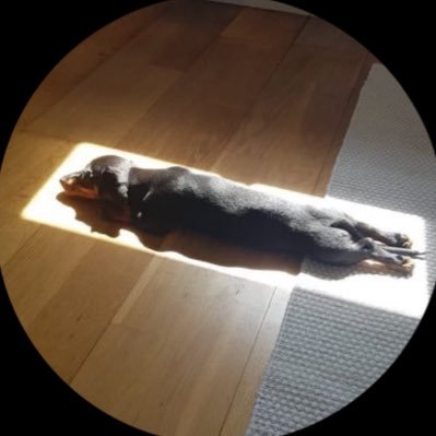 66lrru's profile picture. 