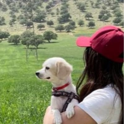 belfismam's profile picture. 