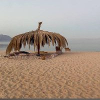 أبو سعود (@mohammeddafer) 's Twitter Profile