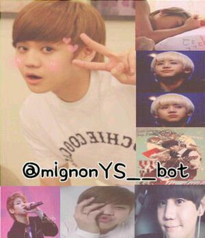 (@MignonYS__bot) 리밋계예요~