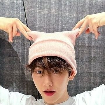 gibaさんのプロフィール画像
