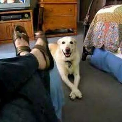 GardnerNan17243's profile picture. 