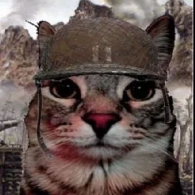 nyny_domin's profile picture. fds