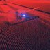 Crypto Farmer 🌽🫛🐖 (@grippinthagrain) Twitter profile photo Crypto Farmer 🌽🫛🐖 (@grippinthagrain) Twitter profile photo