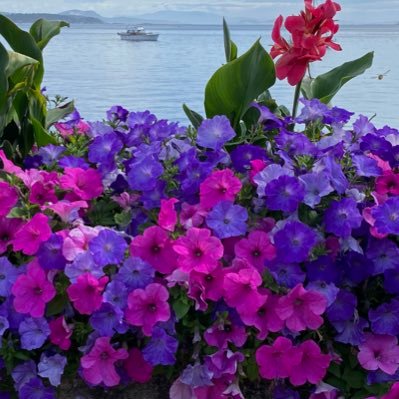 kellydontsurf's profile picture. Disciple of Jesus Christ. Truth is objective.