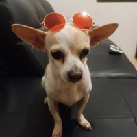 ciborg1612 (@ciborg1612) 's Twitter Profile