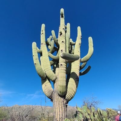 JasonABunker's profile picture. 