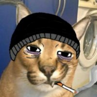 fbslo (@fbsloxbt) 's Twitter Profile Photo fbslo (@fbsloxbt) 's Twitter Profile Photo