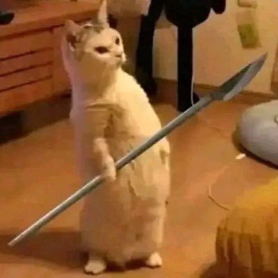 LuyoloMg's profile picture. 