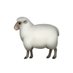 Elect Sheep (@electsheepy) Twitter profile photo Elect Sheep (@electsheepy) Twitter profile photo