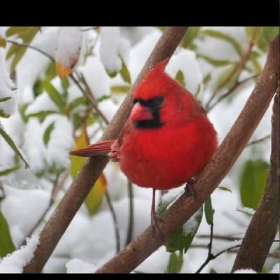 DanaeSpens55425's profile picture. 