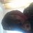 AChambers08's profile image
