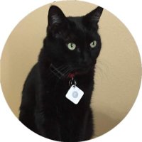 LibertyHallsKat (@libertyhallskat) 's Twitter Profile Photo LibertyHallsKat (@libertyhallskat) 's Twitter Profile Photo