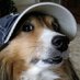 Locke (@repeatedfails) Twitter profile photo Locke (@repeatedfails) Twitter profile photo
