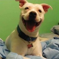 Max Peck (@therealmaxpeck) 's Twitter Profile