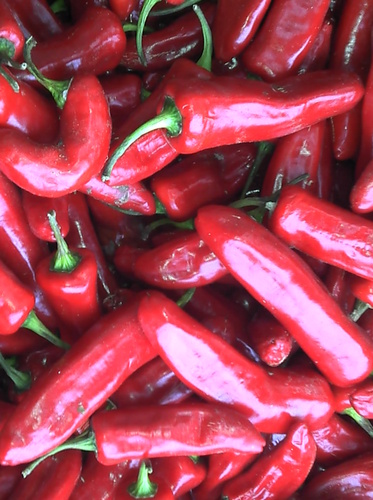 agtwitt's profile picture. 