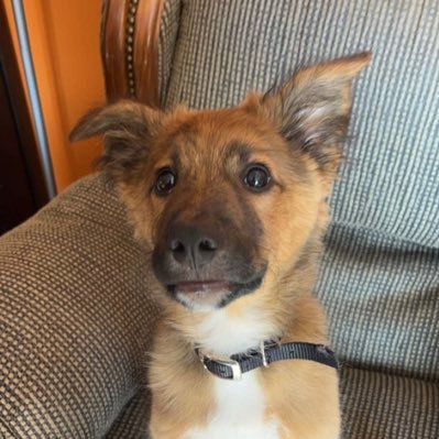 bwork93's profile picture. 