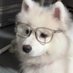 hhh (@ben972976567109) Twitter profile photo hhh (@ben972976567109) Twitter profile photo