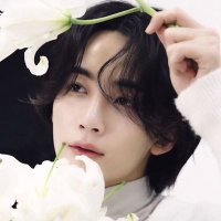 firೀ (@_lovapple) 's Twitter Profile
