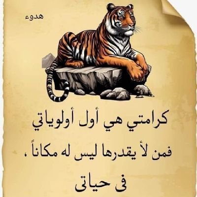 bsaam70504's profile picture. 