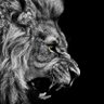 mr_8ken's profile picture. Jamaican 🇯🇲 ll Marketer ll Wolmerian Ώ ll MUFC ⚽️ ll Mila's Daddy 👶 ll Motto: Aut Viam Inveniam Aut Faciam 🤙