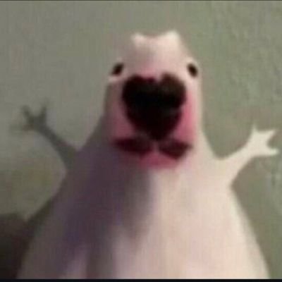 TorcherPlay123's profile picture. 