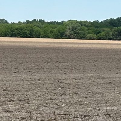 johnds32's profile picture. 