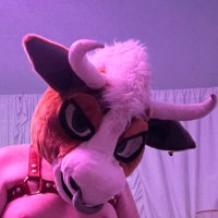 Montana_AD🔜Denfur (@badbullmontana) 's Twitter Profile Photo Montana_AD🔜Denfur (@badbullmontana) 's Twitter Profile Photo