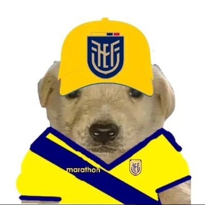 MazzLex25's profile picture. XD