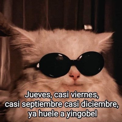 9040Mar's profile picture. 