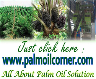 all about palm oil solution