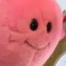 i am a vtuber lover. i watch many streams. i help spread dono links, coms, and warnings from vtubers to keep others safe. i block all r slur users! you are bad!