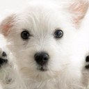 Morgan Sutton - @msutton2605 - Twitter