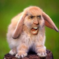 TheDudeThatMadeTheThing (@thedudethatmade) 's Twitter Profile