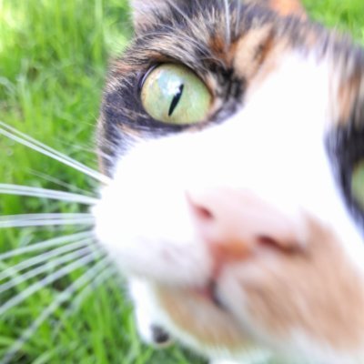 C_R_Alex's profile picture. 