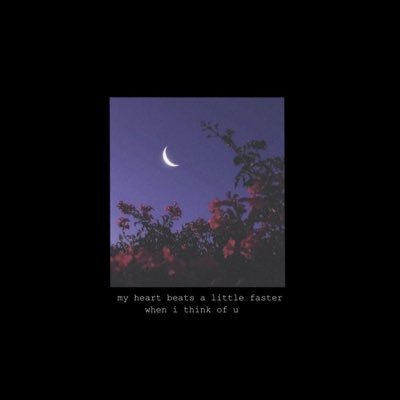 llie7i1's profile picture. 